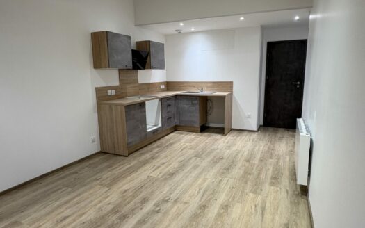 T3 EN PLEIN CENTRE VILLE