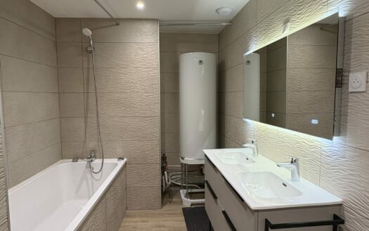 T3 EN PLEIN CENTRE VILLE