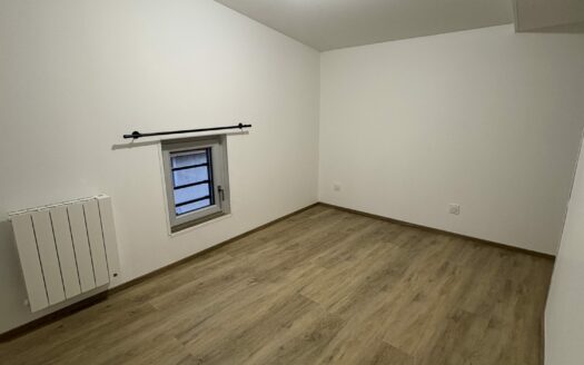 T3 EN PLEIN CENTRE VILLE