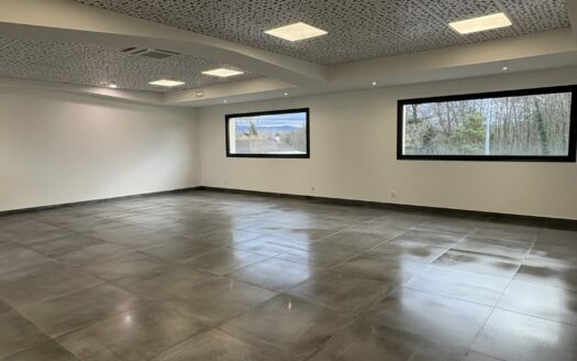 Immobilier Professionnel à louer Pont-d’Ain
